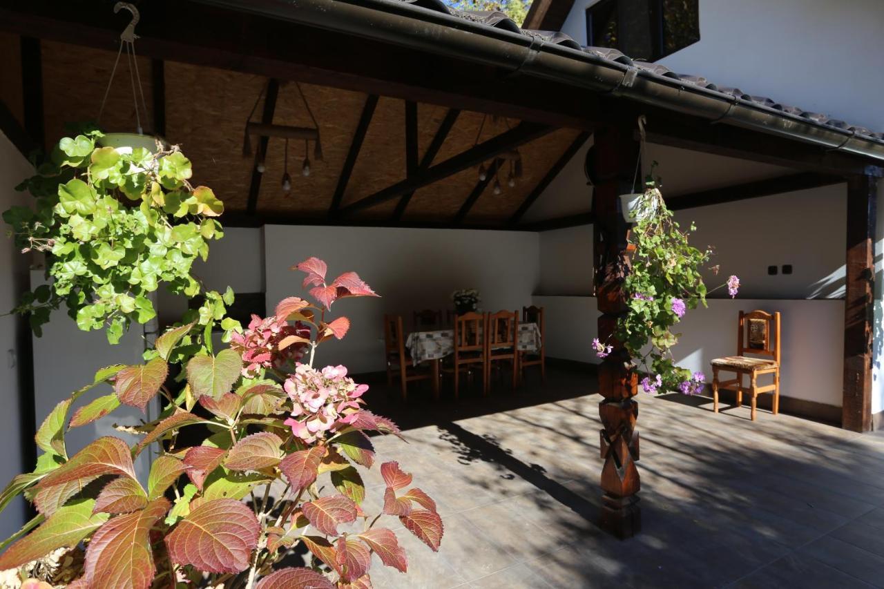Casa Morii Ohaba Villa Buitenkant foto