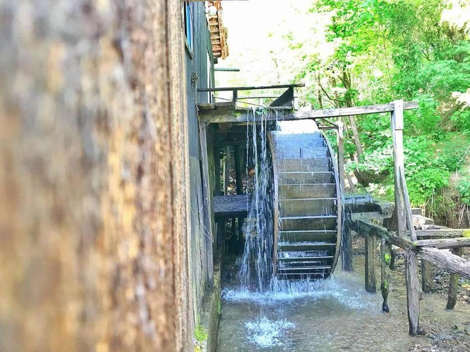 Casa Morii Ohaba Villa Buitenkant foto