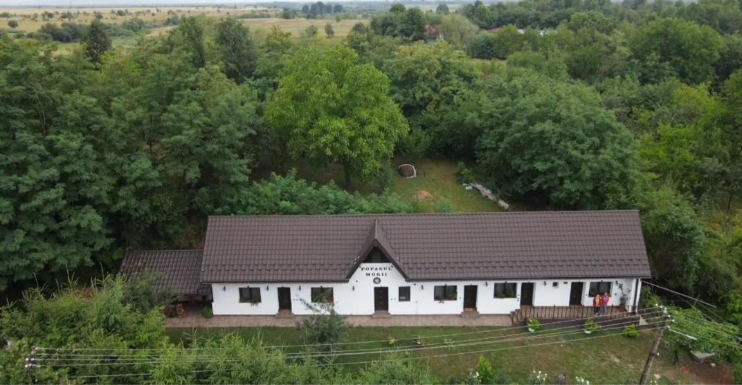 Casa Morii Ohaba Villa Buitenkant foto