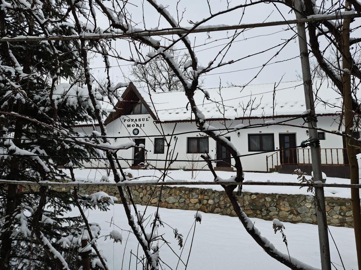 Casa Morii Ohaba Villa Buitenkant foto